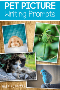 Encourage Writing with Pet Picture Writing Prompts - Walking by the Way